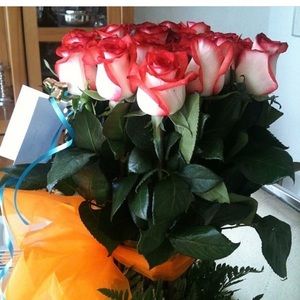 Meet your Posher, Lizeth